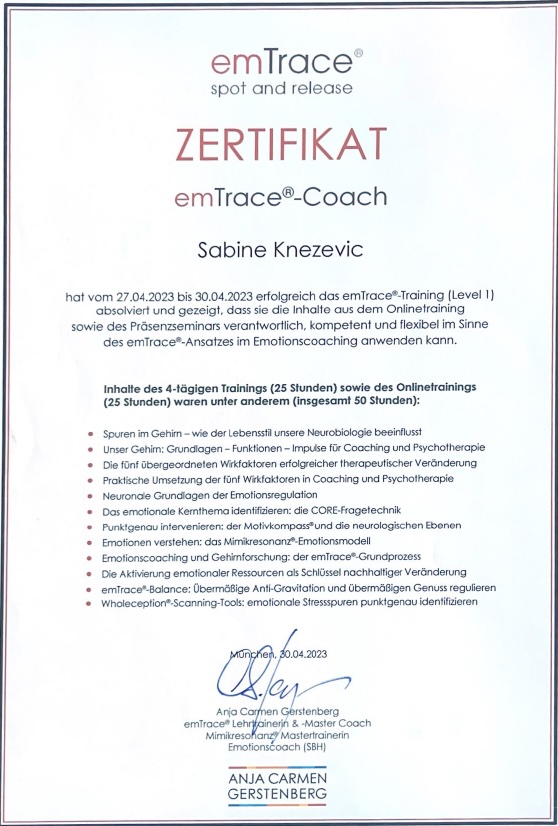 Zertifikat Emtrace Level 1