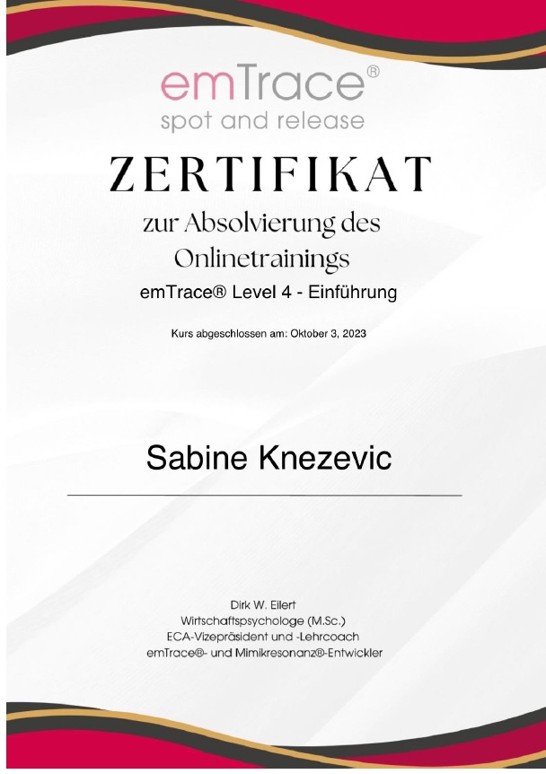 Zertifikat Emtrace Level 4 1